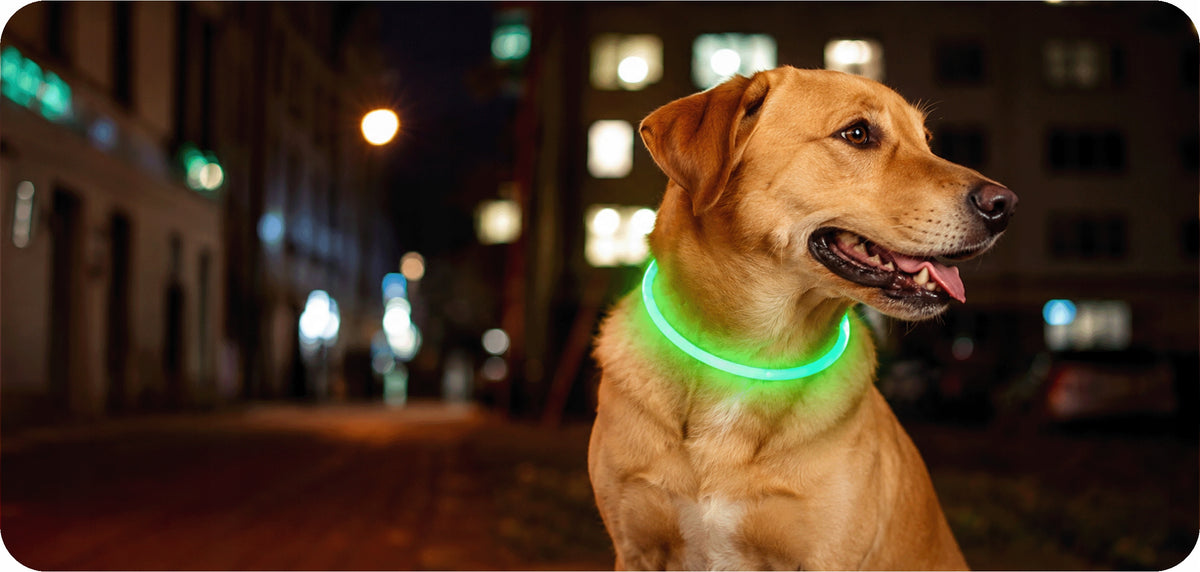 ŚWIECĄCA OBROŻA DLA PSA ZIELONA LED USB 3 TRYBY ŚWIECENIA REGULOWANA NEON
