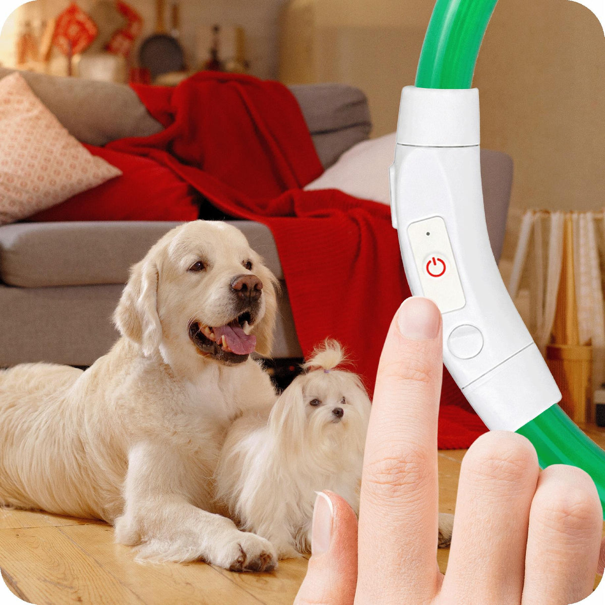ŚWIECĄCA OBROŻA DLA PSA ZIELONA LED USB 3 TRYBY ŚWIECENIA REGULOWANA NEON