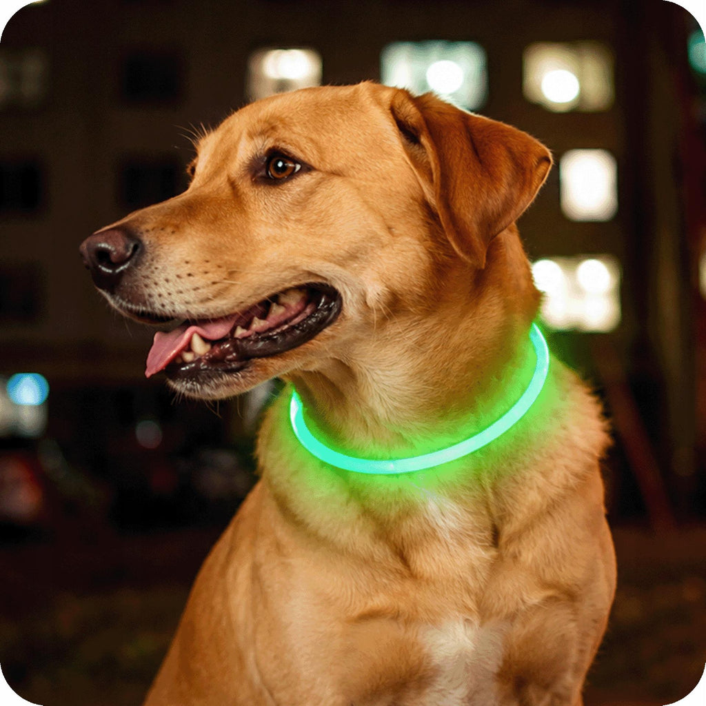 ŚWIECĄCA OBROŻA DLA PSA ZIELONA LED USB 3 TRYBY ŚWIECENIA REGULOWANA NEON